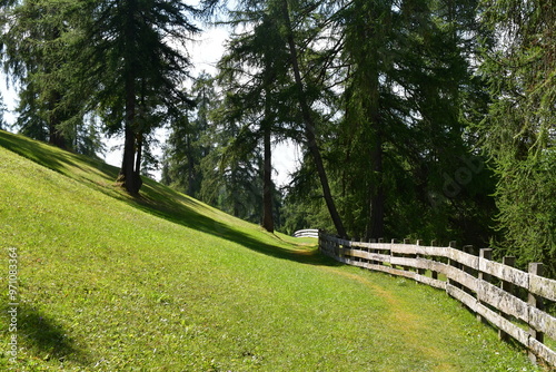 Obraz na płótnie Schöne Landschaft auf dem Salten in Südtirol w salonie