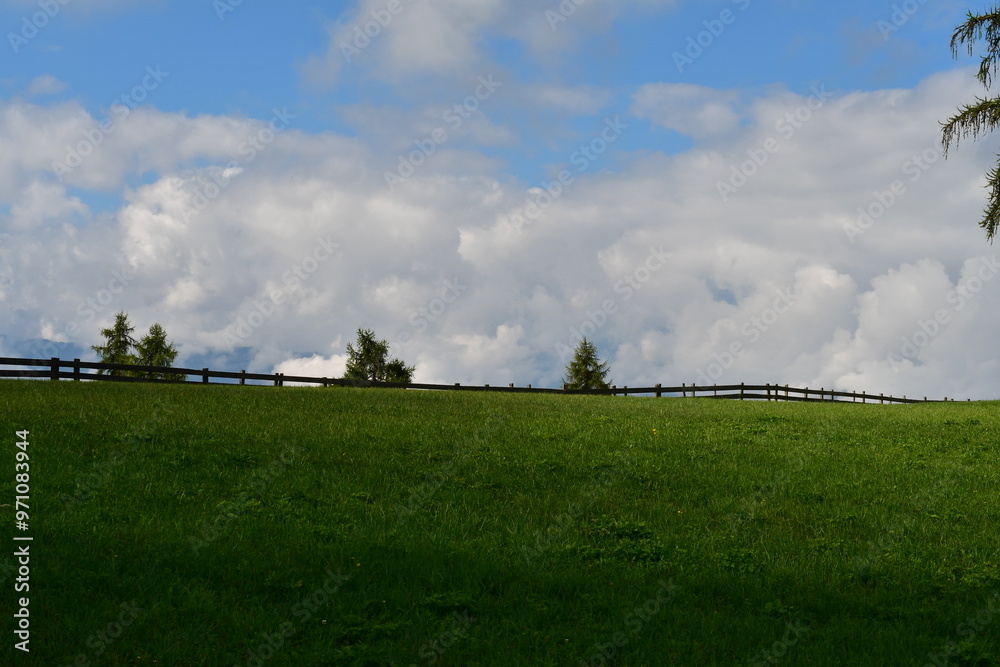 Schöne Landschaft auf dem Salten in Südtirol