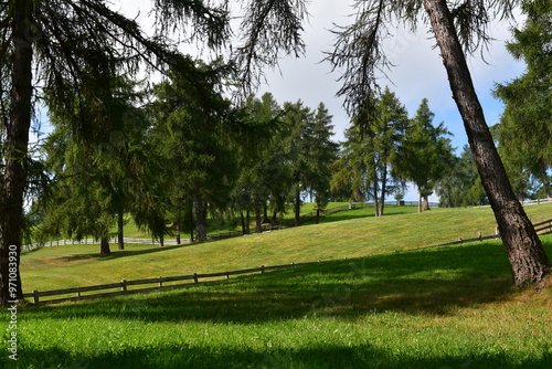 Obraz na płótnie Schöne Landschaft auf dem Salten in Südtirol w salonie