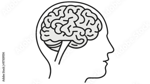 human head with brain, human head outline illustration with x-ray of a brain