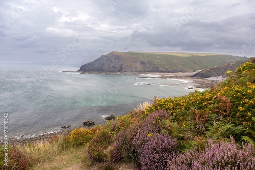 Küste mit Blumen bewachsenen Hügeln, die bis zum ruhigen Meer und unter einem grauen Himmel reichen, Cornwall, Vereinigte Königreich Großbritannien