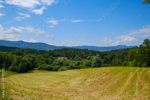 Area around Lahinja river spring in Bela krajina Slovenia