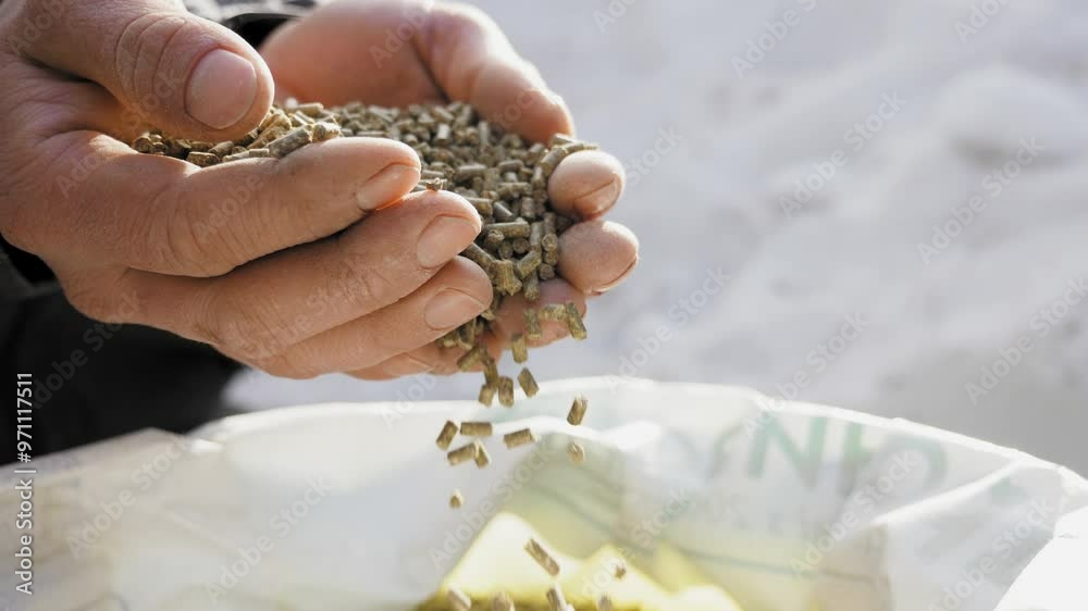 Closeup of granulated feed in the hands of a farmer falling to the bag in slow-motion