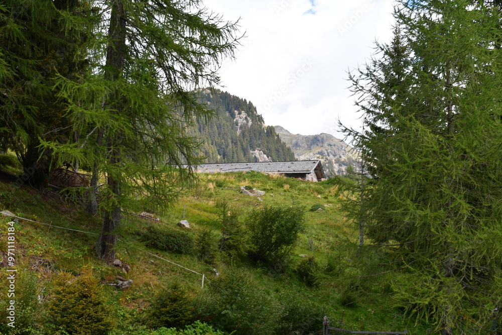 Schöne Landschaft unterhalb der Laugenspitze in Südtirol