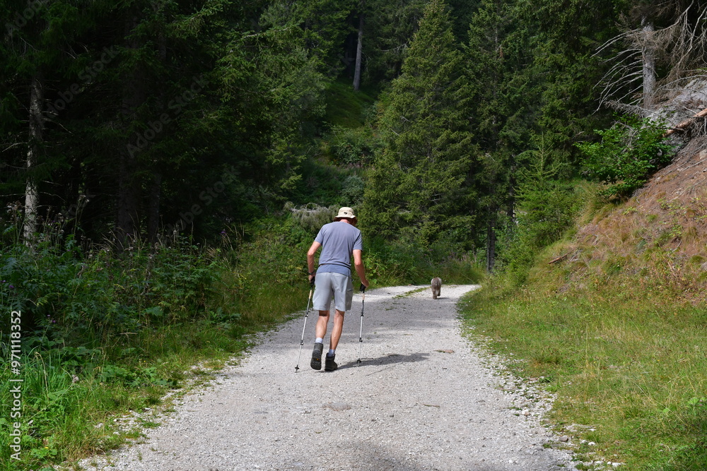 Mann und sein Lagotto Romagnolo Hund wandern in Südtirol Mann und sein Lagotto Romagnolo Hund wandern in Südtirol