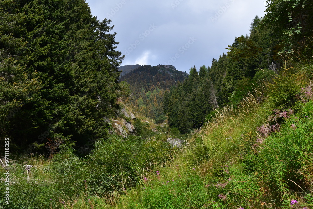Schöne Landschaft mit Blick zum Laugen in Südtirol