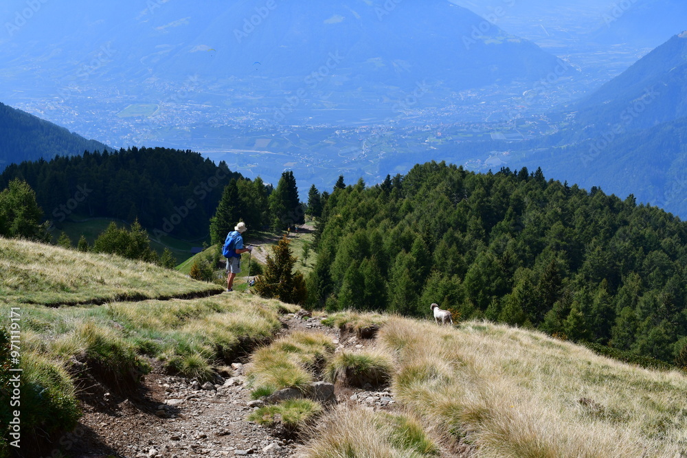 Mann und sein Lagotto Romagnolo Hund wandern auf dem Hirzer in Südtirol