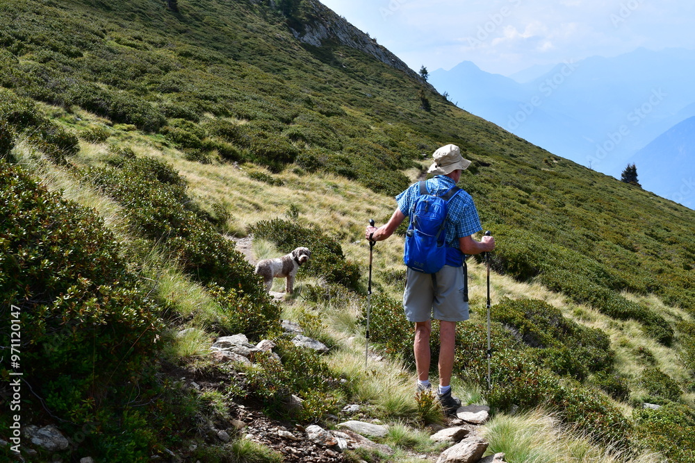 Mann und sein Lagotto Romagnolo Hund wandern auf dem Hirzer in Südtirol