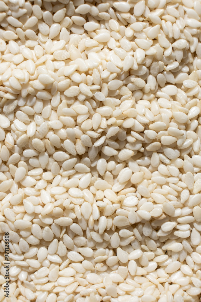 White sesame background, macro top view. White sesame background, macro top view.