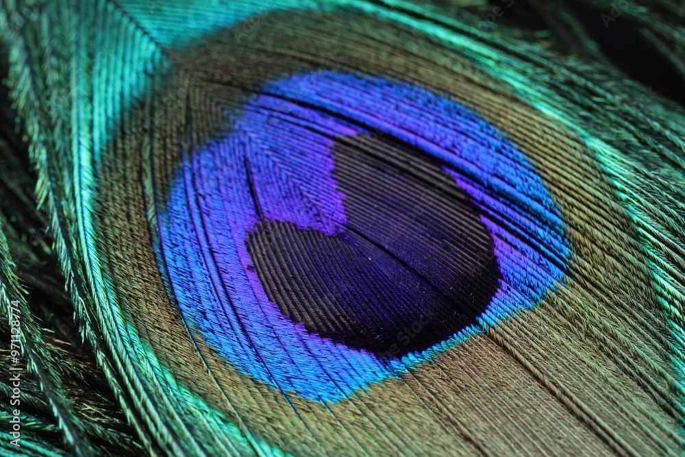 Naklejka premium Beautiful bright peacock feather as background, macro view