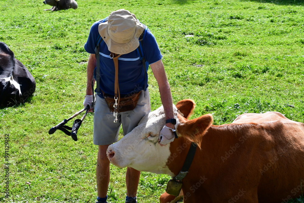 Mann streichelt eine Kuh im Stubaital