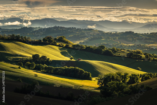 Spring view of landscapes of region Marche near Ancona during sunset. Green waves hills and lone trees make this landscape unreal.