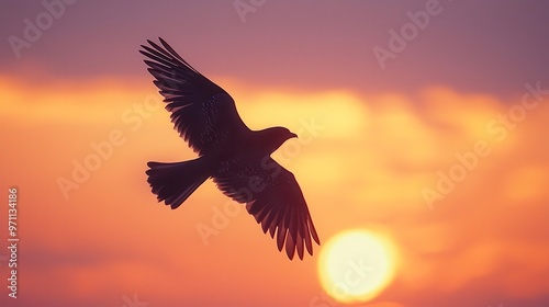 A bird in flight silhouetted against a vibrant orange and purple sunset sky ideal for nature, freedom, or inspiration themes in various media,