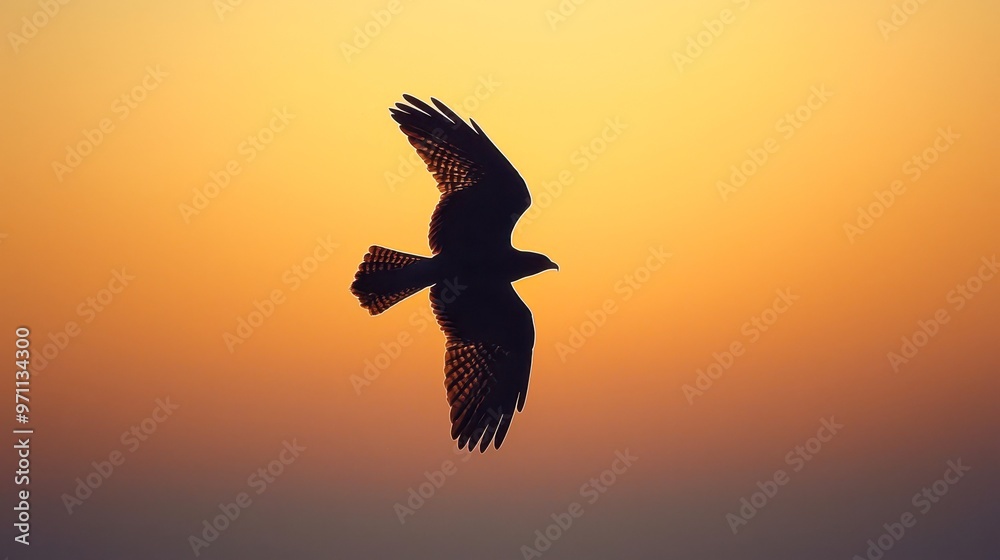 Fototapeta premium A hawk silhouetted against a vibrant orange sunset sky ideal for backgrounds, nature themes, and wildlife concepts,