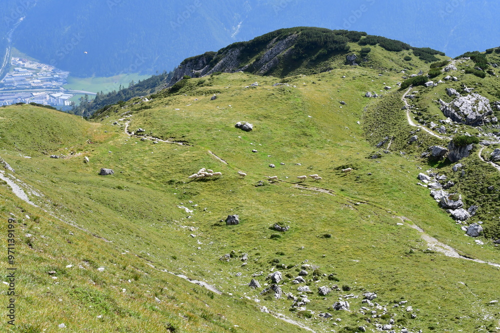 Schöne Landschaft mit Schafen auf der Weide im Stubaital