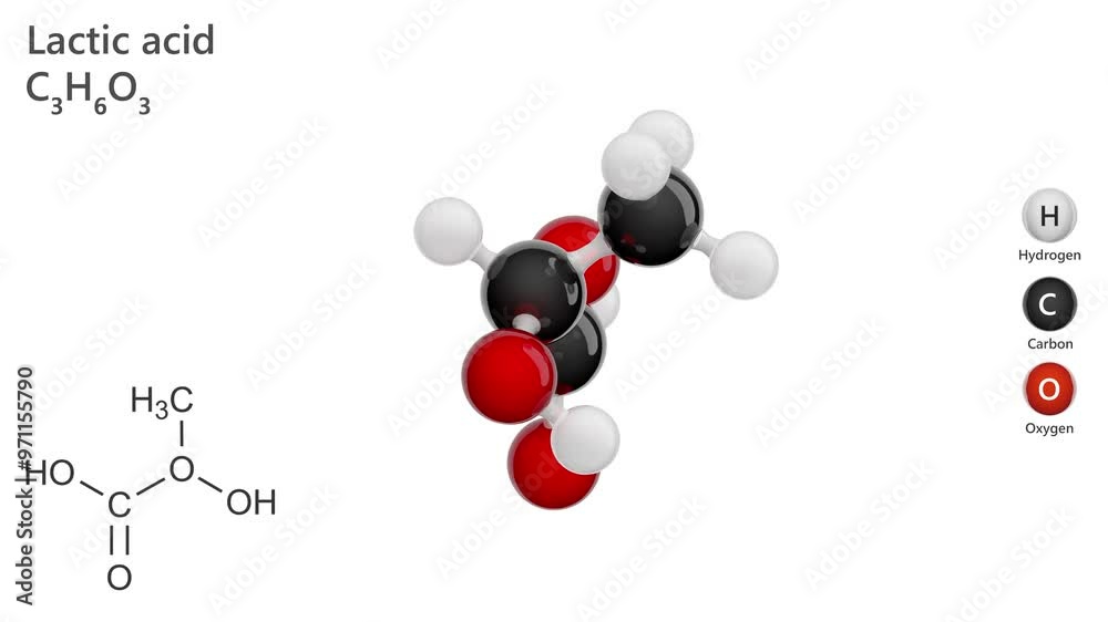 3d model of molecule Lactic acid C3H6O3.It appears as a colorless to yellow odorless syrupy liquid. Corrosive to metals and tissue. Used to make cultured dairy products, as a food preservative. 3d model of molecule Lactic acid C3H6O3.It appears as a colorless to yellow odorless syrupy liquid. Corrosive to metals and tissue. Used to make cultured dairy products, as a food preservative.