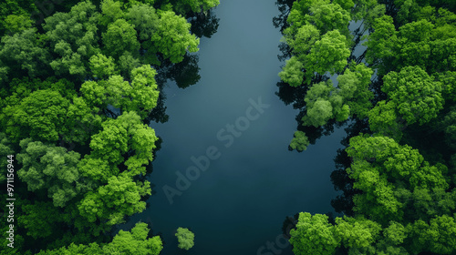 Aerial view of a river winding through a lush green forest