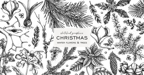 Merry Christmas background. Winter botany frame design. Conifer trees, winter flowers, evergreen plants sketches. Hand-drawn vector illustration. NOT AI generated