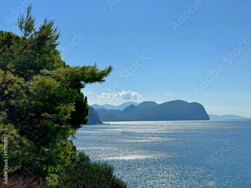 Wallpaper Mural Pine trees on the sea shore Torontodigital.ca