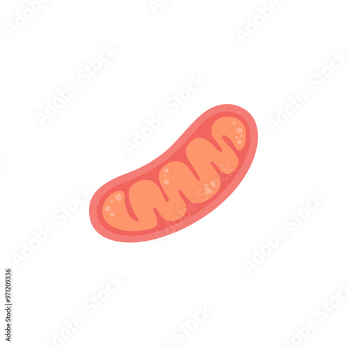Microbiology Mitochondria Illustration