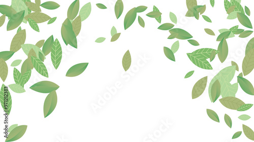 Leaves Vector White Background Illustration. Fresh Greens Template. Grassy Leaf Brochure, Green flying leaves wave,nature Day
