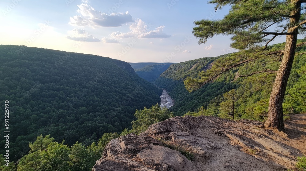Fototapeta premium Canyon view from Coopers Rock overlook, WV