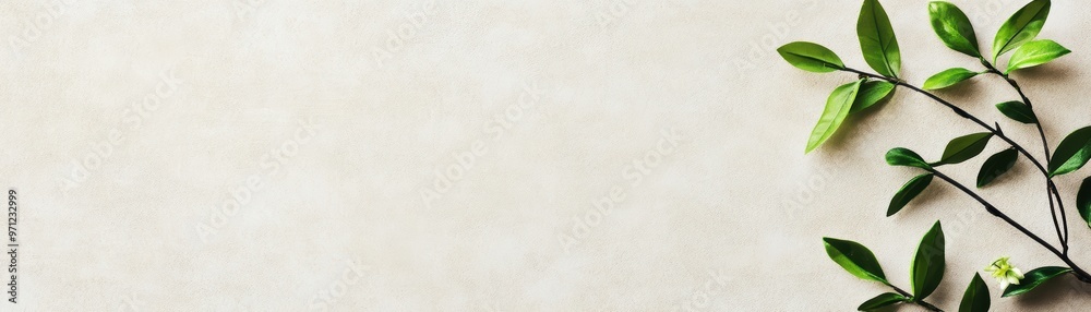 Obraz premium Soft, organic texture with hints of delicate flowers and plants, subtly woven into a calm background