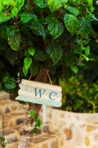 A wooden sign hanging from a tree that says wc  photo