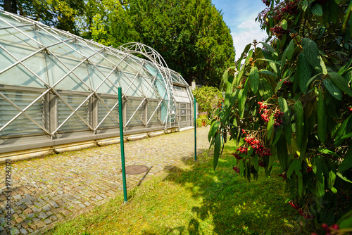 Photography greenhouse of the royal gardens of Prague Castle