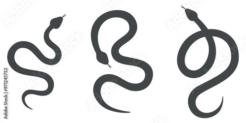 Snake silhouettes set. Black color hand drawn snakes collection with different shapes. Wild animals or nature theme. Symbol of 2025 Chinese New Year. Vector illustration on white background.