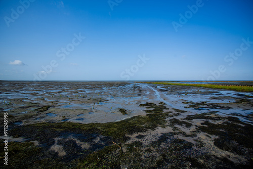 Wattenmeer