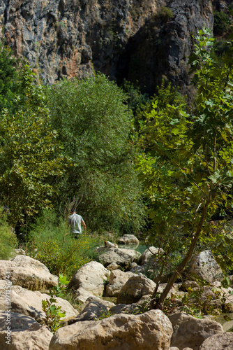 A man walks in a canyon among trees, Antalya, Turkey. photo