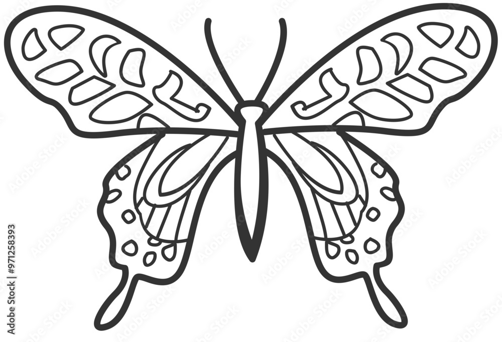 Obraz premium butterfly line art