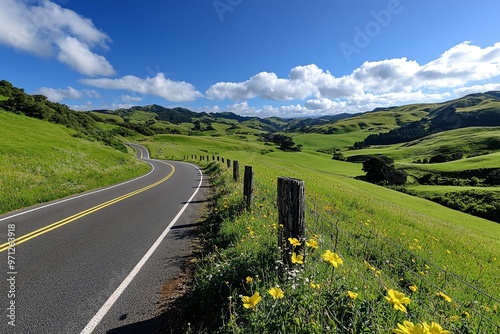 A winding rural road cutting through rolling green hills, with wildflowers growing along the roadside photo