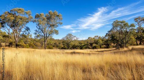 Arid, drought-hardy Oz flora