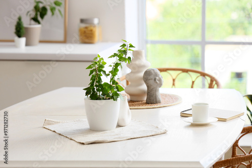 Houseplant, vases and notebook on table in dining room