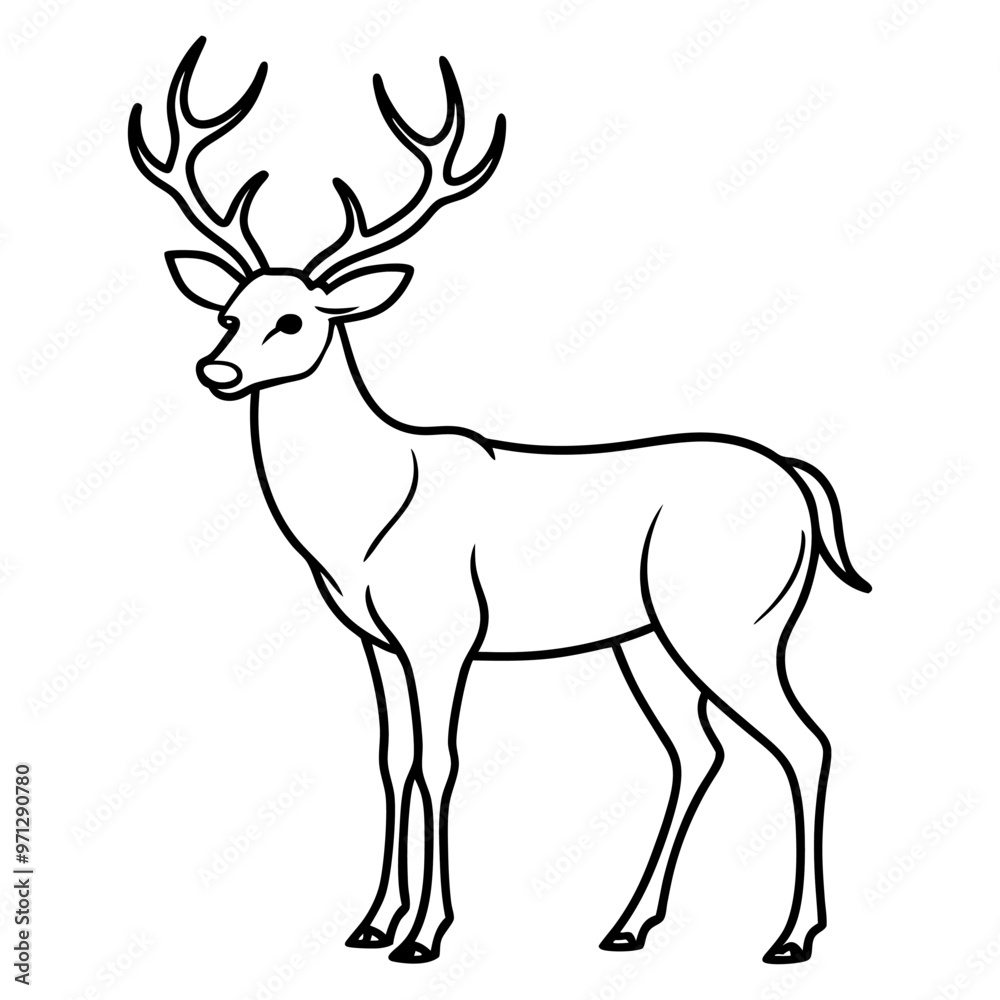 Hand draw Deer vector, line art, silhouette ,black and white Hand draw Deer vector, line art, silhouette ,black and white