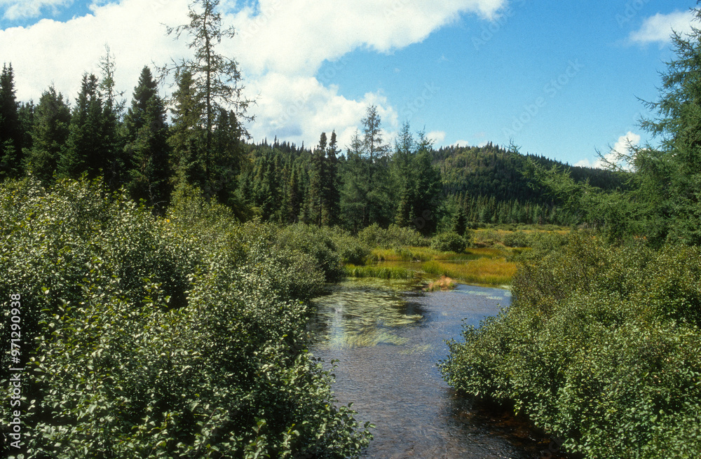 Parc national des Laurentides, Quebec, Canada Parc national des Laurentides, Quebec, Canada