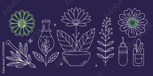 Minimalist Line Art of Medicinal Herbs - Chamomile, Mint, Sage Illustrations

