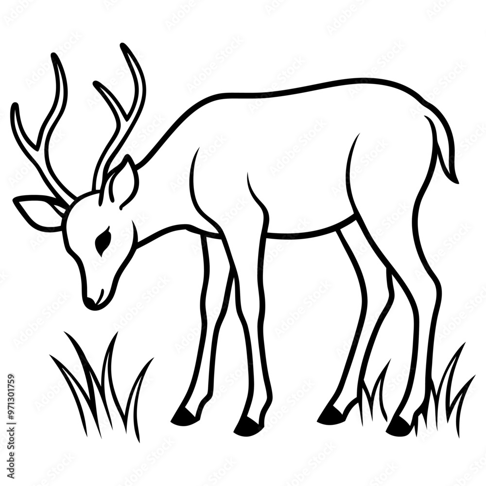 Fototapeta premium Hand draw Deer vector, line art, silhouette ,black and white