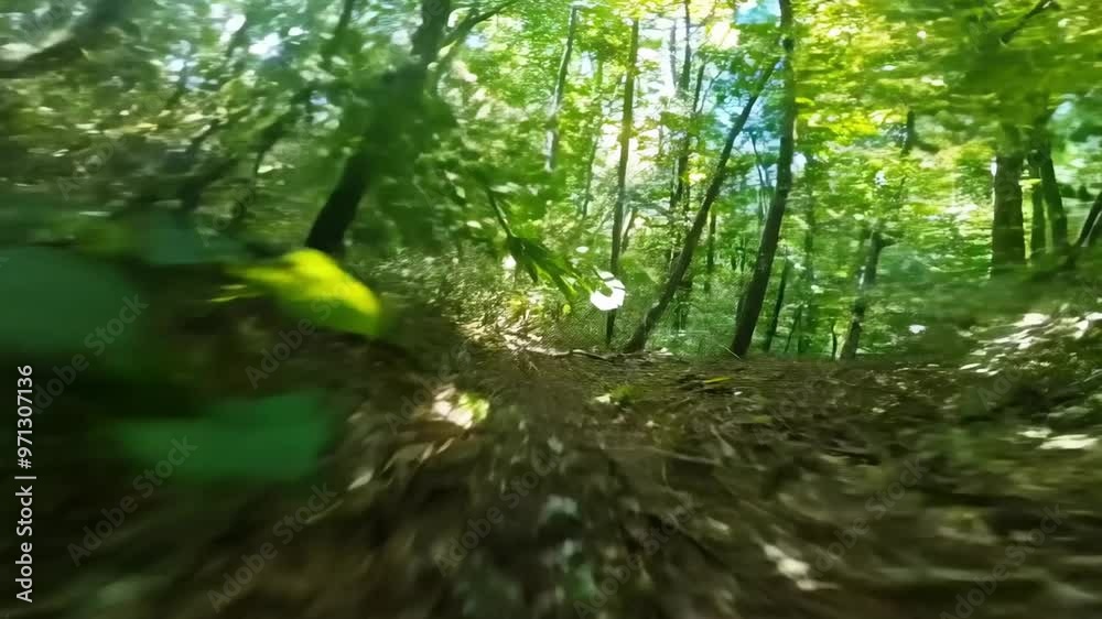 FPV shot racing through a dense forest, with sunlight filtering through the green canopy and leaves rushing past at high speed FPV shot racing through a dense forest, with sunlight filtering through the green canopy and leaves rushing past at high speed