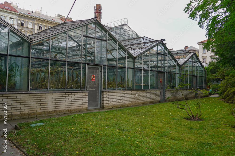 greenhouse of the Botanical garden of Charle's university in Prague greenhouse of the Botanical garden of Charle's university in Prague