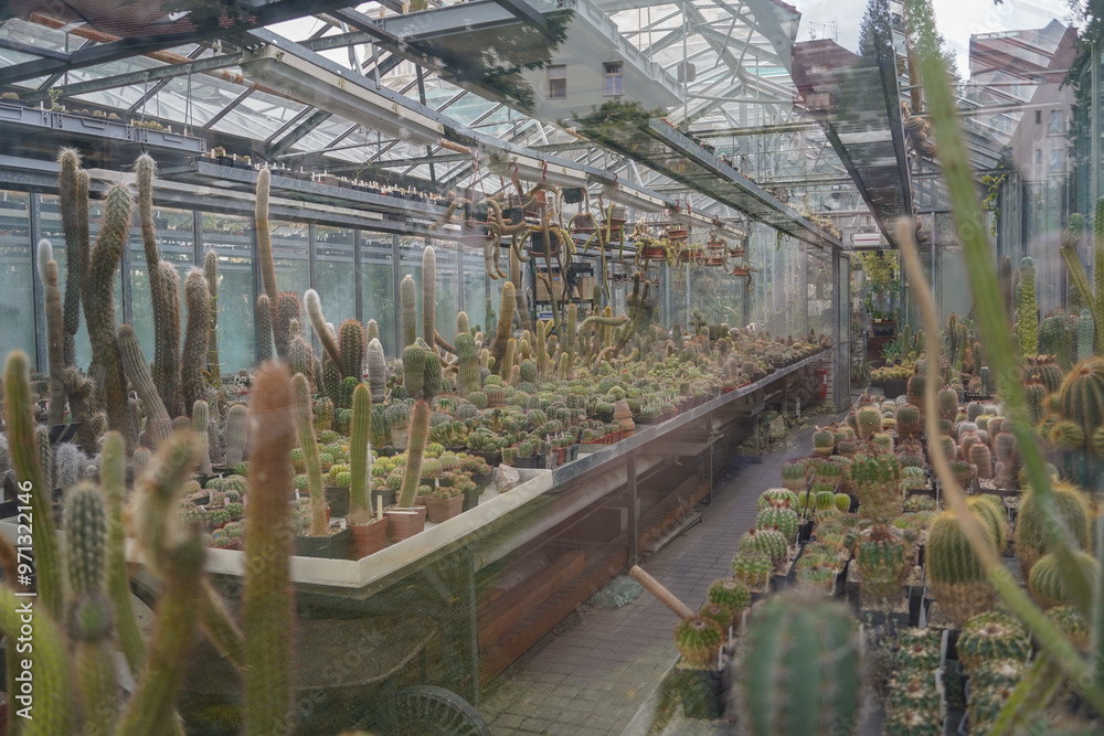 greenhouse of the Botanical garden of Charle's university in Prague greenhouse of the Botanical garden of Charle's university in Prague