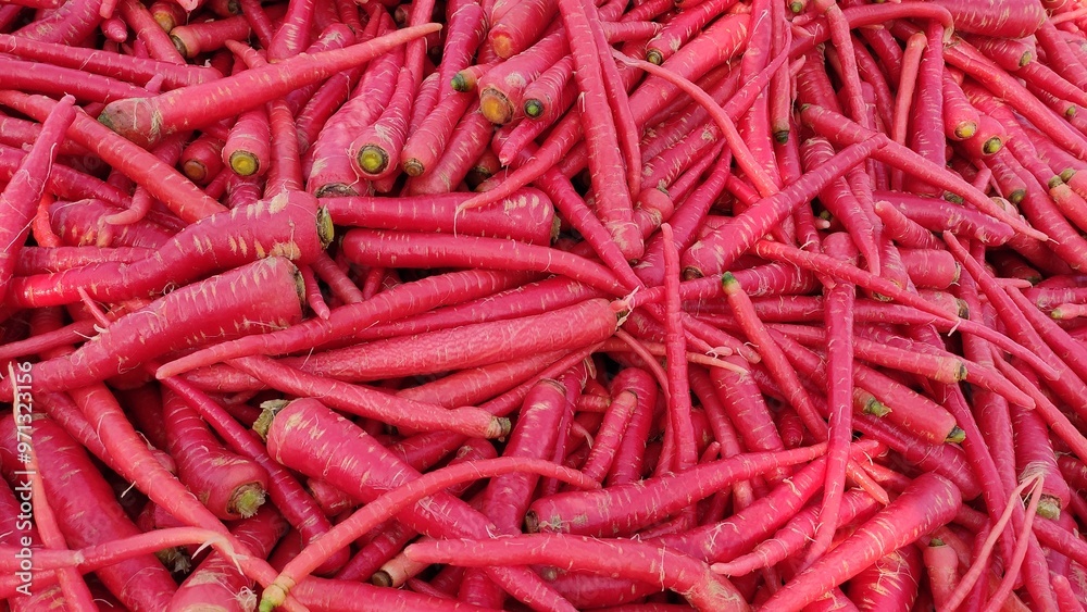 Red juicy carrots, carrot harvesting, Red juicy carrots, carrot harvesting,