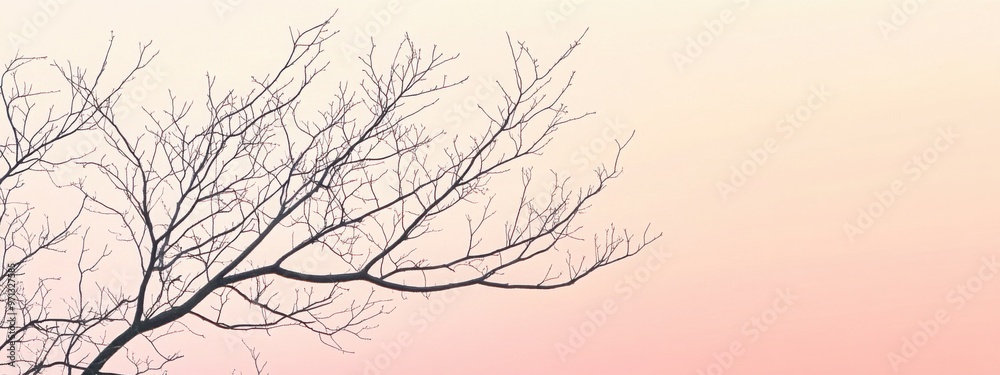 A serene image of bare autumn branches silhouetted against a soft pastel sky at dawn, with gentle pink and peach hues. A serene image of bare autumn branches silhouetted against a soft pastel sky at dawn, with gentle pink and peach hues.