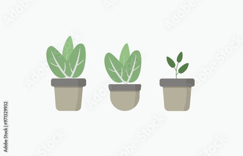 Greenery in Pots. Elegant Plant Illustrations Set. Vector. EPS 10
