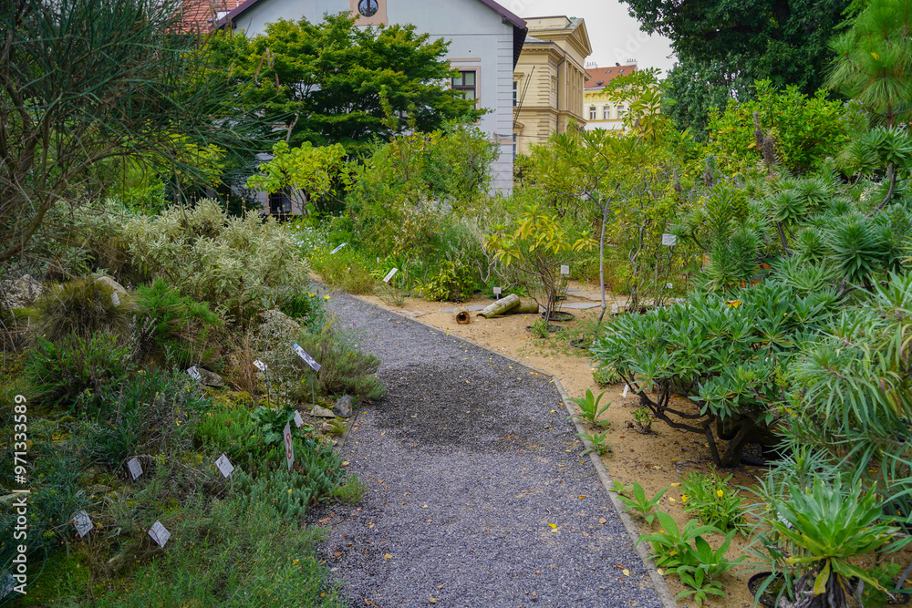 Botanical garden of Charle's university in Prague Botanical garden of Charle's university in Prague