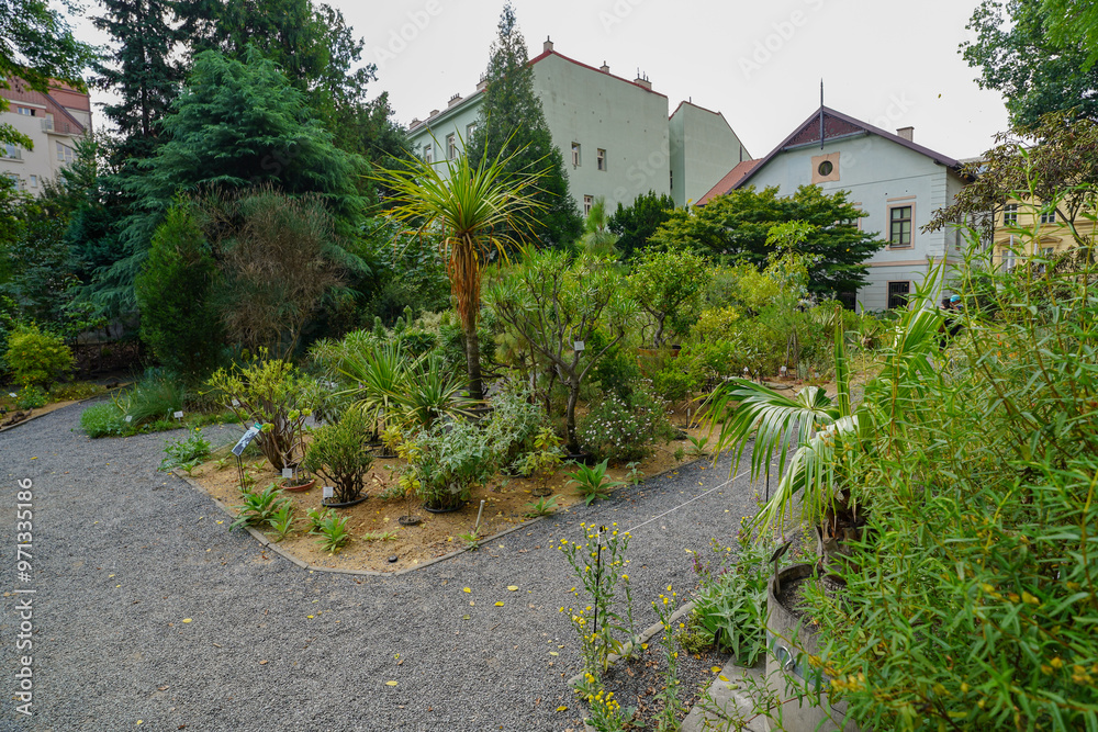 Fototapeta premium Botanical garden of Charle's university in Prague