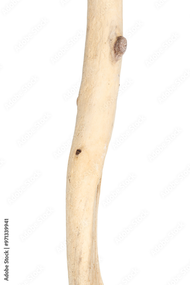Part of driftwood isolated on white Part of driftwood isolated on white