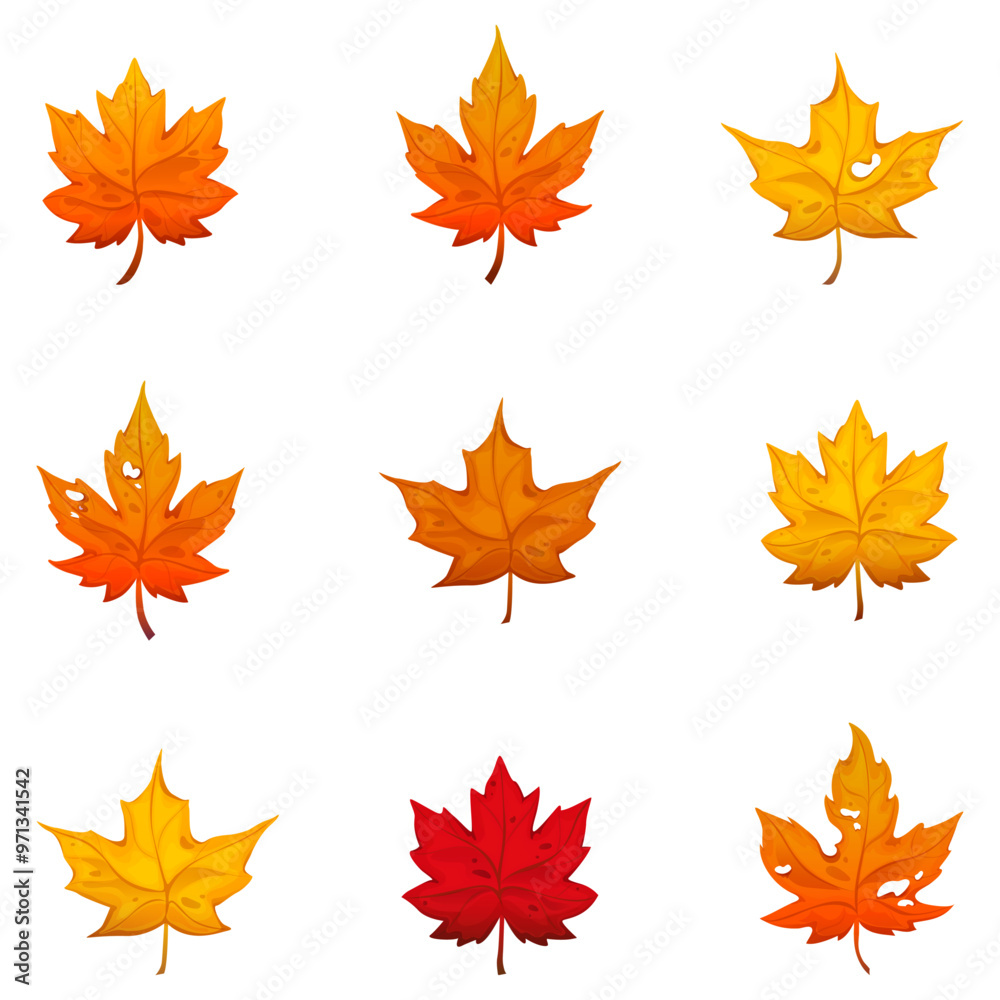 Beautiful autumn maple leaves. Maple leaves. Set of autumn leaves Beautiful autumn maple leaves. Maple leaves. Set of autumn leaves